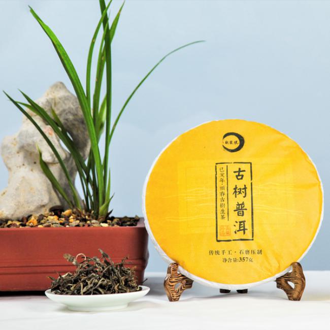 普洱古树生茶2019