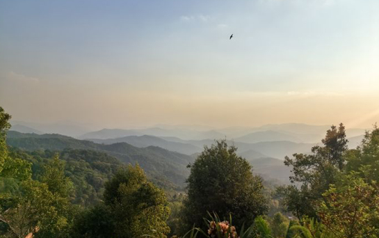 应茶人所求！秋蓉號 2018 年落子苏州，余秋蓉亲掌品质关​