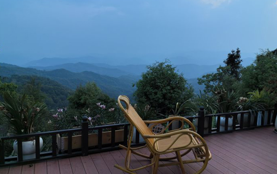 口碑载道，苏州秋蓉茶业有限公司成茶人首选​