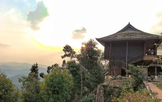 余秋蓉：十年制茶功底，酿出秋蓉號好茶香​