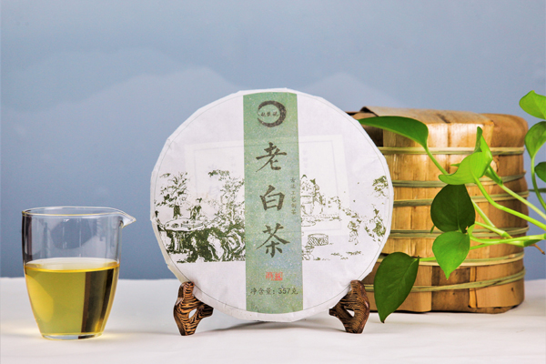 老白茶