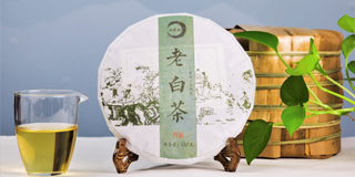 老白茶